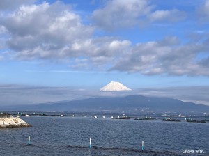 line_oa_chat_240210_175617