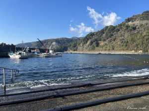 line_oa_chat_240212_143024