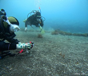 DCIM100GOPROGOPR1849.JPG