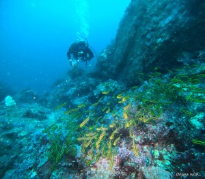 DCIM100GOPROGOPR9191.JPG