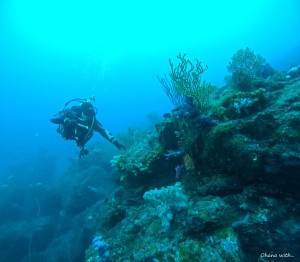 DCIM100GOPROGOPR9201.JPG
