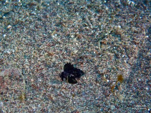 P3090211