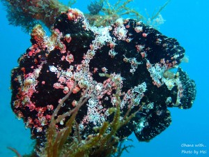 P3280191