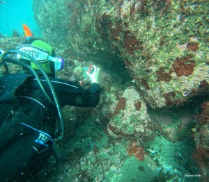 GOPR2012