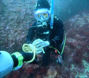 DCIM100GOPROGOPR2026.JPG