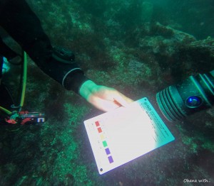 DCIM100GOPROGOPR2027.JPG