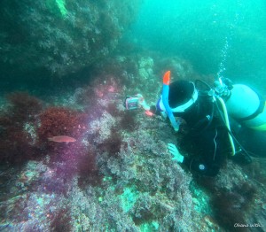 DCIM100GOPROGOPR2031.JPG