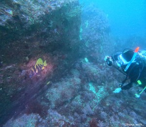 DCIM100GOPROGOPR2046.JPG