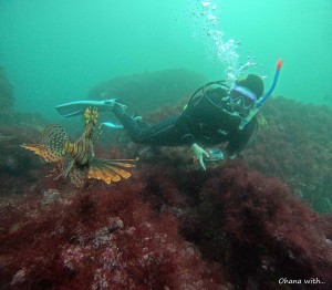 DCIM100GOPROGOPR2053.JPG