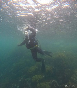 DCIM100GOPROGOPR2198.JPG