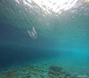 DCIM100GOPROGOPR2656.JPG