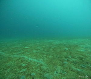 DCIM100GOPROGOPR2660.JPG