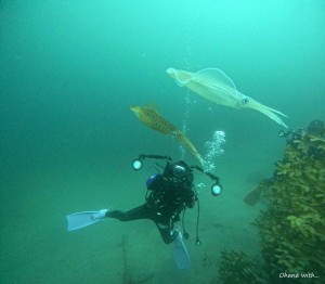 DCIM100GOPROGOPR2673.JPG