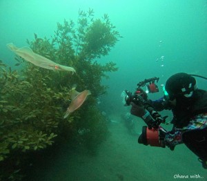 DCIM100GOPROGOPR2679.JPG
