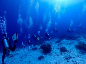 LINE_ALBUM_202411_240321_105