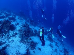 LINE_ALBUM_202411_240321_106
