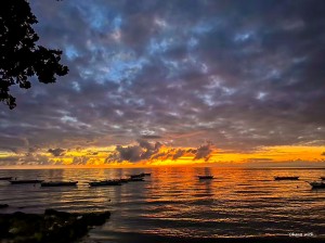 LINE_ALBUM_202411_240321_4