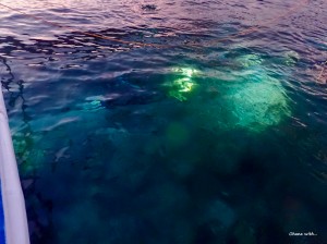 LINE_ALBUM_202411_240321_98