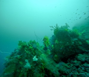 GOPR0257