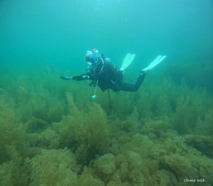DCIM100GOPROGOPR3139.JPG