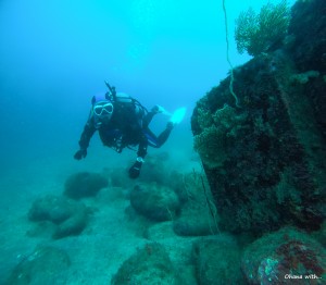 GOPR3244