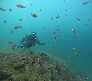 DCIM100GOPROGOPR3413.JPG