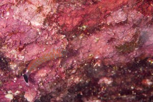 DSC01976