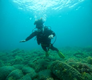 GOPR0346