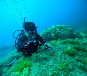 GOPR0653