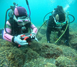DCIM100GOPROGOPR0776.JPG