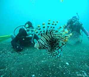DCIM100GOPROGOPR0787.JPG
