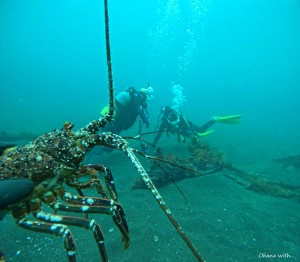 DCIM100GOPROGOPR0791.JPG
