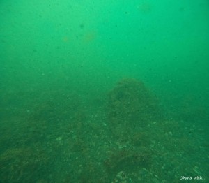 DCIM100GOPROGOPR0795.JPG