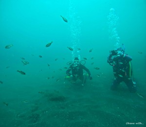 DCIM100GOPROGOPR0800.JPG