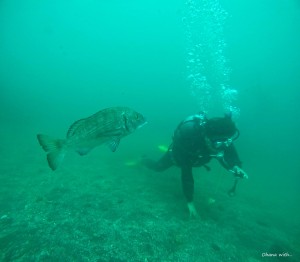 DCIM100GOPROGOPR0987.JPG