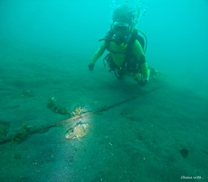 DCIM100GOPROGOPR1040.JPG