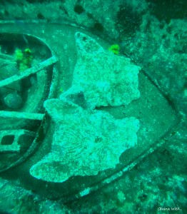 DCIM100GOPROGOPR1053.JPG