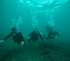 GOPR1142