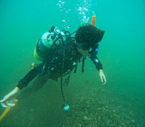 GOPR1151
