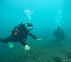 DCIM100GOPROGOPR1162.JPG