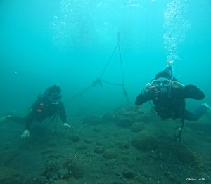 DCIM100GOPROGOPR1163.JPG