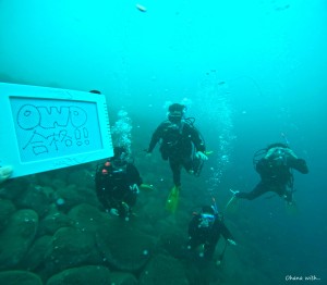 DCIM100GOPROGOPR1195.JPG