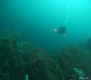 DCIM100GOPROGOPR5354.JPG