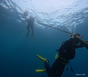 DCIM100GOPROGOPR5491.JPG