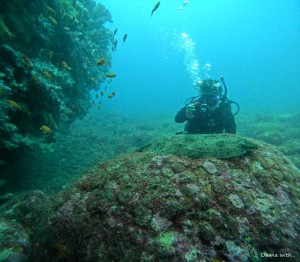 DCIM100GOPROGOPR5521.JPG