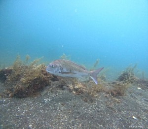 DCIM100GOPROGOPR5926.JPG