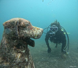 DCIM100GOPROGOPR5942.JPG