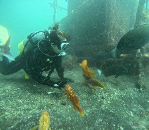 DCIM100GOPROGOPR5950.JPG