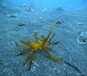 DCIM100GOPROGOPR5958.JPG