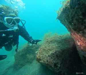 DCIM100GOPROGOPR5966.JPG